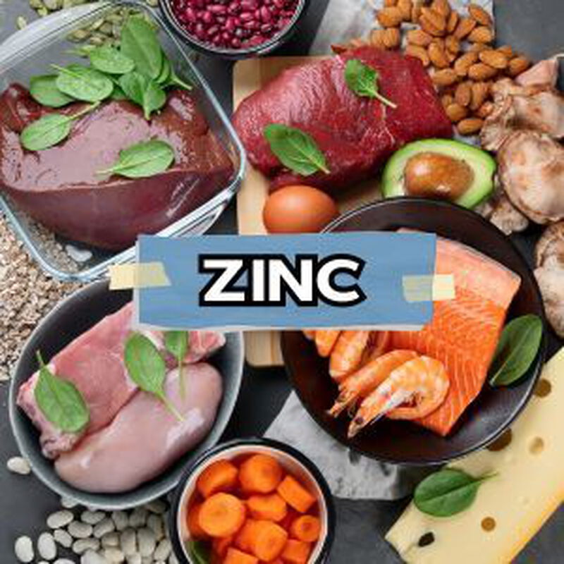 鋅錠推薦排行榜｜11款鋅保健食品的鋅含量與產品種類比較