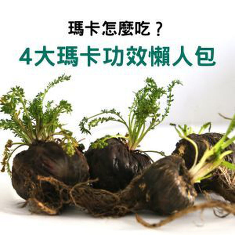 瑪卡怎麼吃？4大瑪卡功效、推薦搭配營養素懶人包看這篇就夠了！