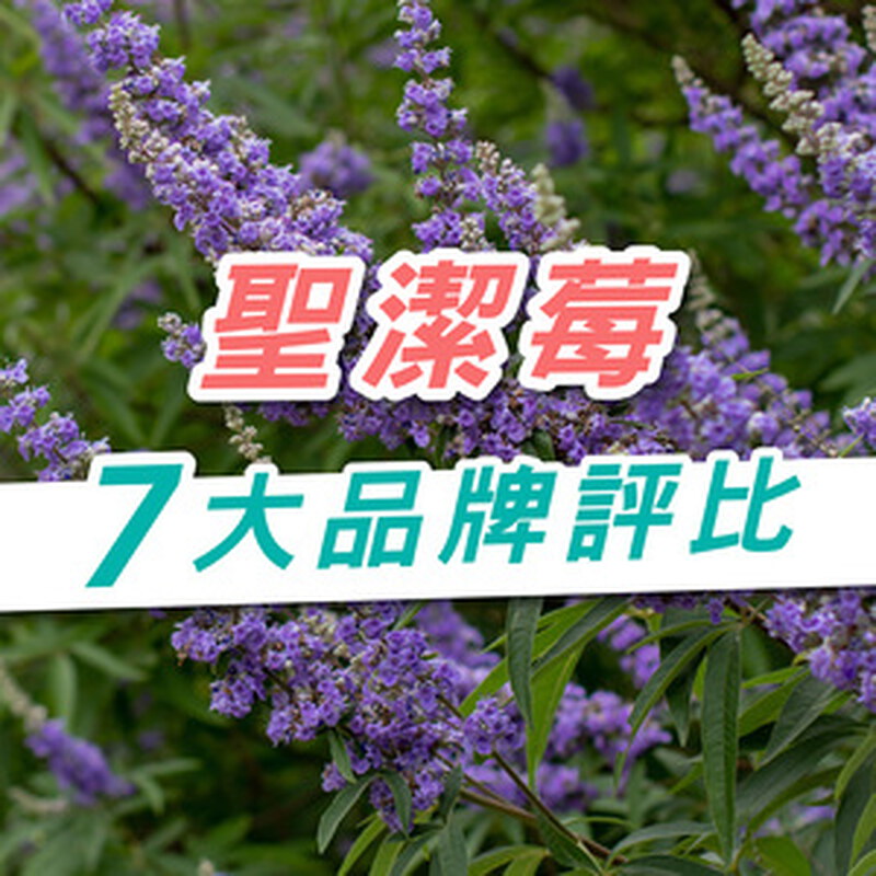 聖潔莓2025推薦｜7大品牌成分、劑量、價格完整比較