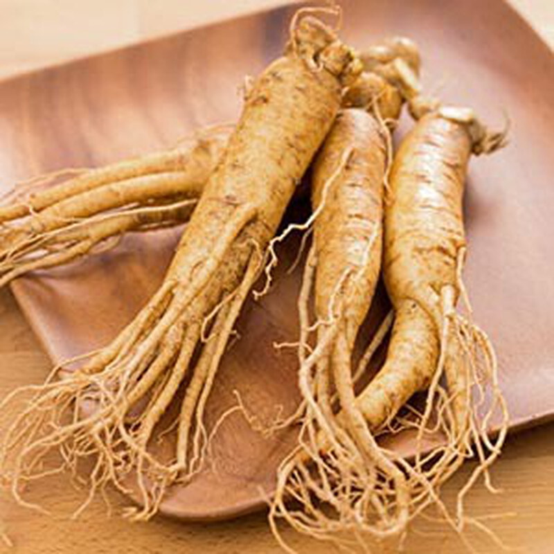 退奶食物三寶：人蔘、炒麥芽茶、韭菜＋四個無痛退奶方法，輕鬆告別母乳！