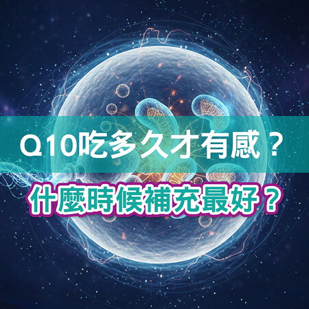 【備孕必讀】Q10吃多久才有感？備孕什麼時候補充最剛好？