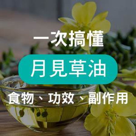 月見草油功效、好處、壞處與副作用｜完整吃法與安全指南