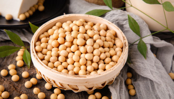 哺乳媽媽吃卵磷脂的好處