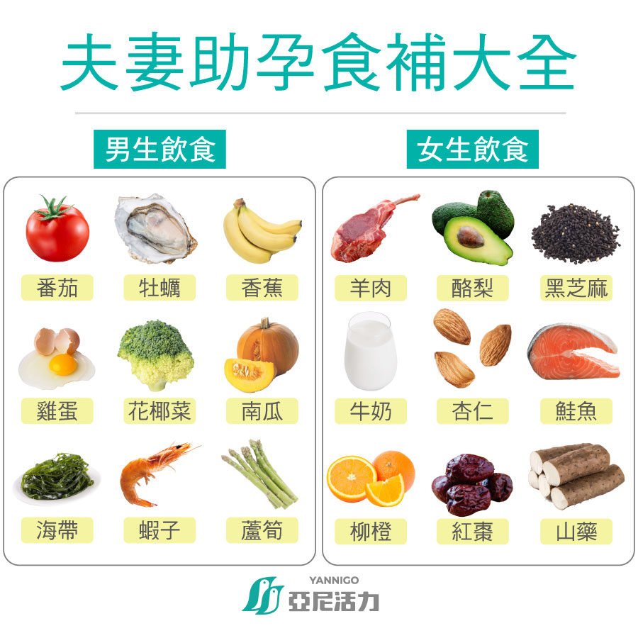 備孕吃什麼？夫妻助孕食補大全