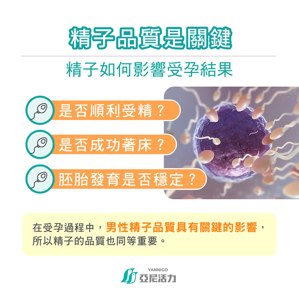 精子品質，實際影響的是哪些受孕結果