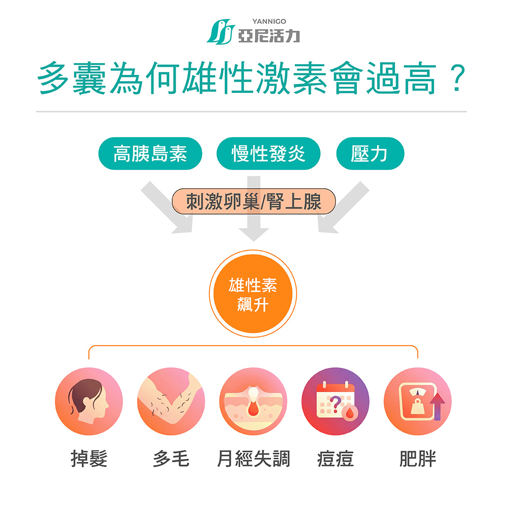 為何多囊會雄性激素過高?