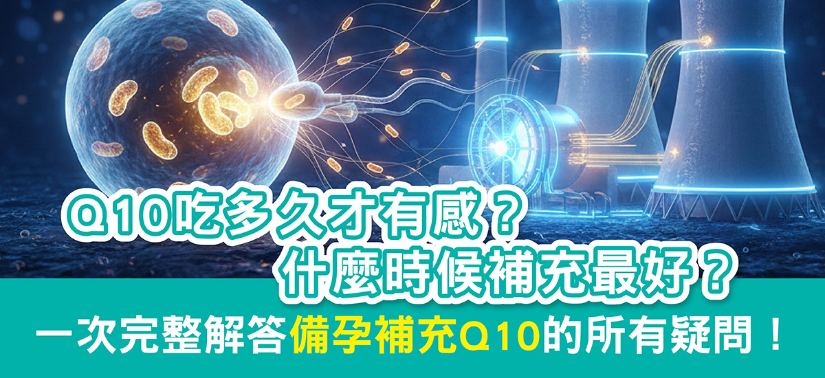 Q10吃多久才有感？備孕什麼時候補充最剛好？