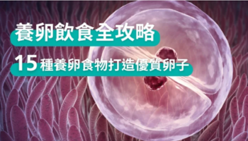 【備孕必看】養卵飲食全攻略：15種超級養卵食物打造優質卵子
