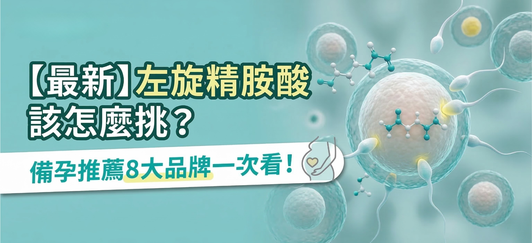 【最新】左旋精胺酸該怎麼挑？備孕最推薦哪牌？8大品牌推薦一次看！