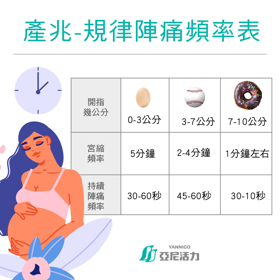 規律陣痛頻率表產程產兆開幾指可以生 規律陣痛頻率表產程產兆開幾指可以生