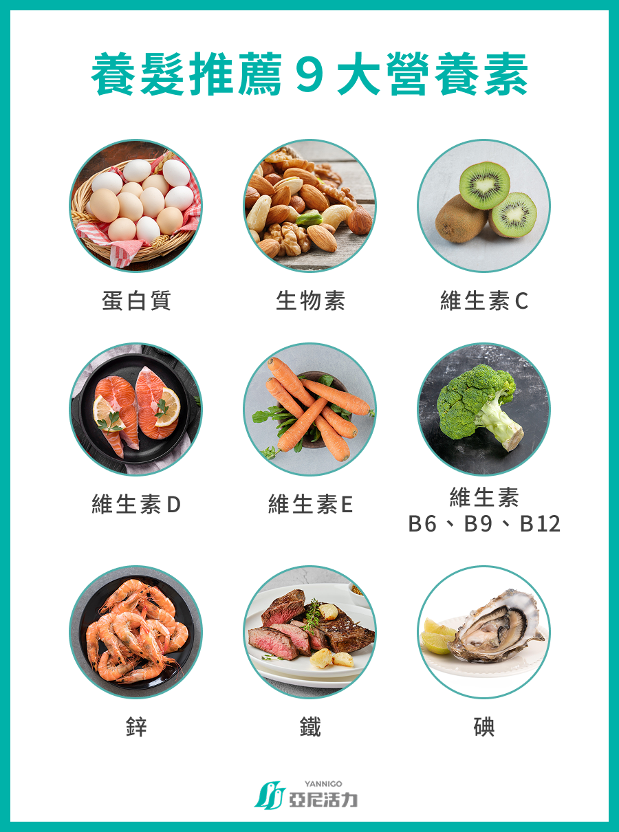 頭皮推薦 9 大營養素