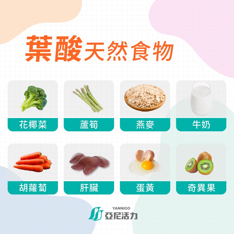 葉酸食物有哪些？深綠色蔬菜含有豐富葉酸
