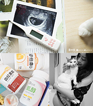 【露咖佩佩】推薦